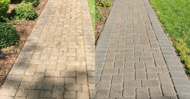 paver cleaning professionals
