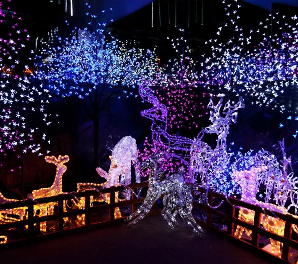 christmas lighting tb 3