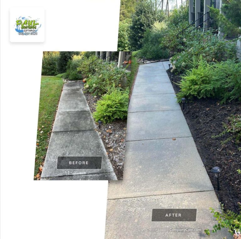 clean concrete walking road after professional pressure washing service in randleman north carolina