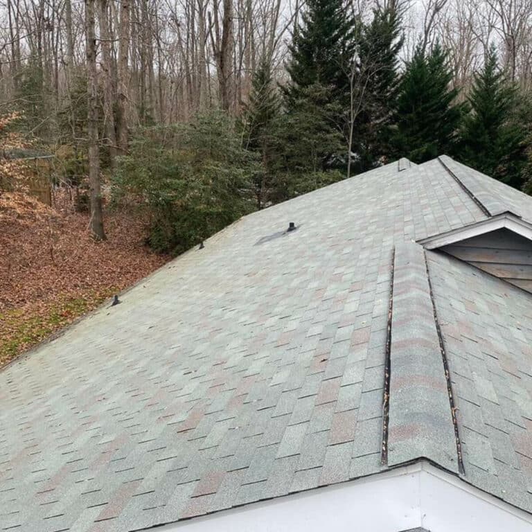 clean house roof after expert roof cleaning service in trinity north carolina