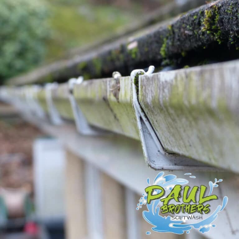 clogged gutter before gutter cleaning service in randleman north carolina
