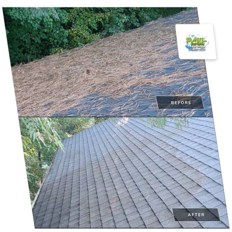 house roof comparison after roof cleaning service in randleman north carolina