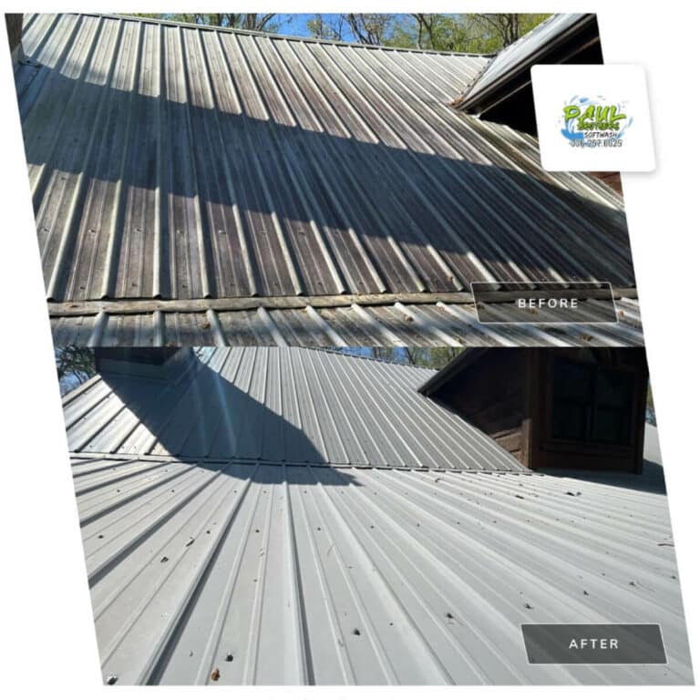 roof restoration after professional roof cleaning service in trinity north carolina