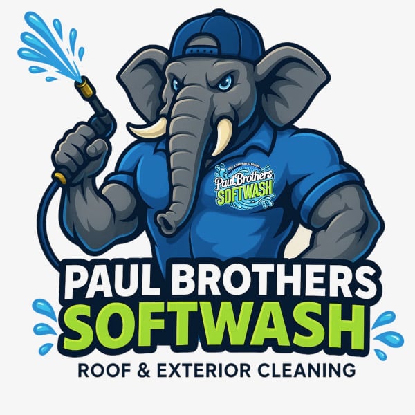Paul brothers house washing subscription plans