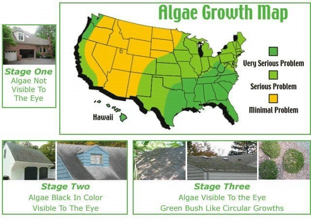 algae growth on houses Asheboro Randleman Trinity NC
green algae on siding North Carolina home
black streaks on roof algae NC
soft washing house Asheboro NC
roof algae removal Randleman NC