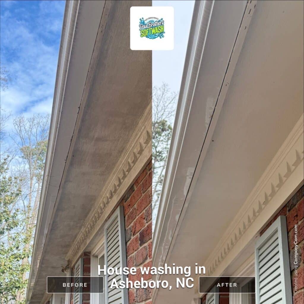 Why it is important to kill algae instead of pressure washing it away on house siding